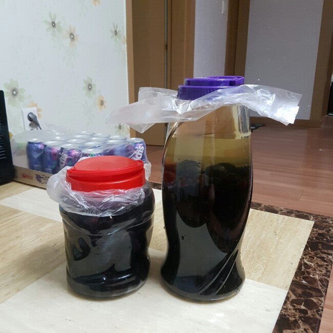 포도주 담그는법 포도 담금주 완성