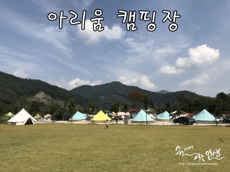  [서울 근교 애견동반 캠핑장] 가평 아리움 캠핑장에서 글램핑 즐기기