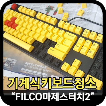  놀면 뭐해? 기계식 키보드 청소방법 (혐오주의)