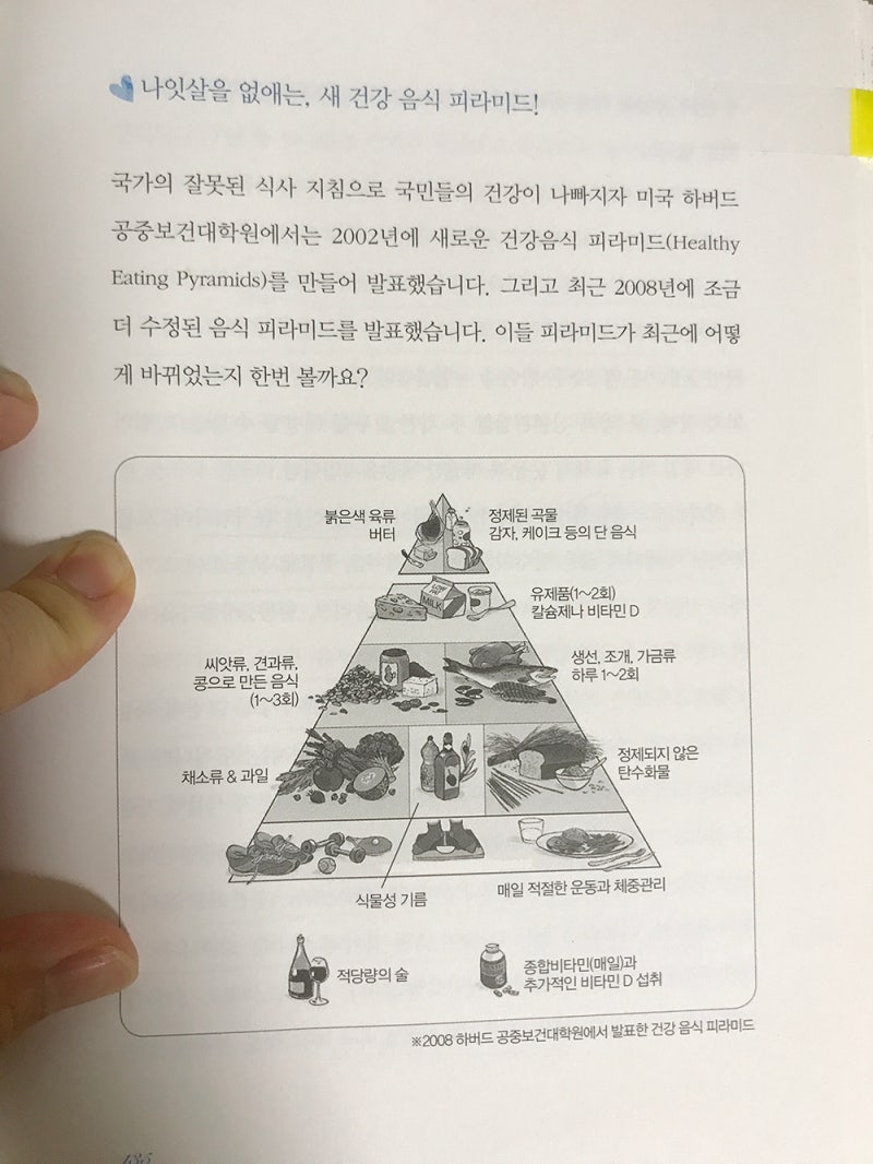 나잇살,뱃살 빼는 다이어트식단 및 영양(여에스더) 다이어트운동 : 네이버 블로그