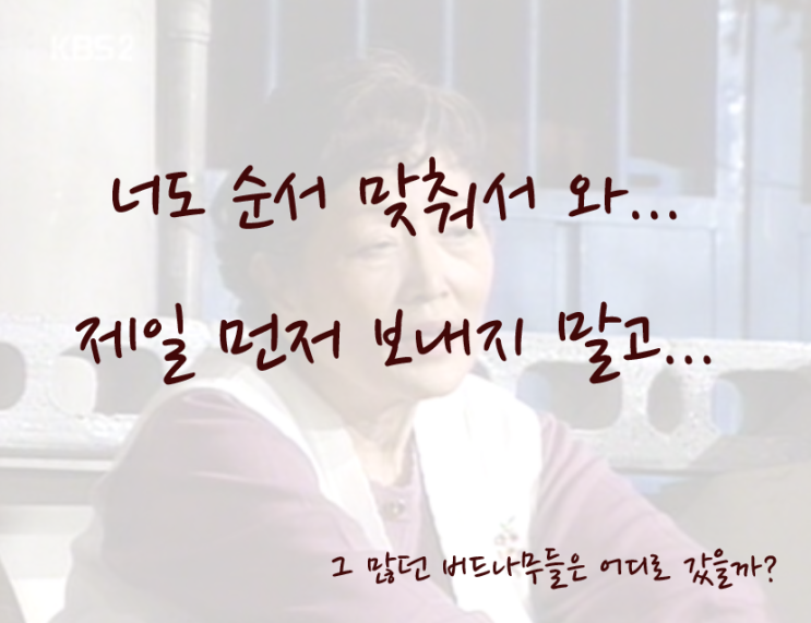  드라마 올드미스다이어리 오랜만에 본 미자의 모습