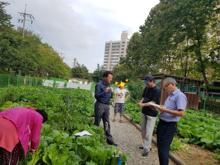 텃밭 배추벌레잡기