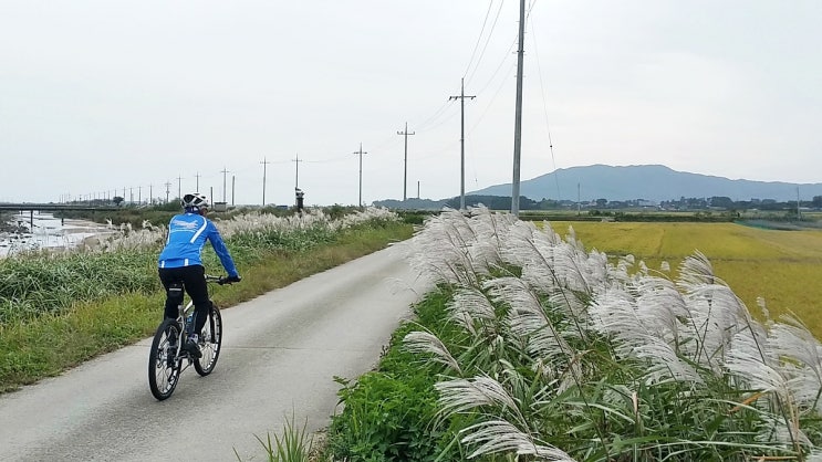 서산여행 가을풍경 제1명소 청지천 자전거길 간월호 관광도로