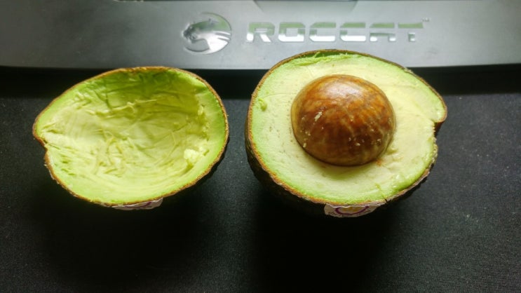  처음 맛 본 아보카도, 그 맛은? 첫 맛보기 리뷰