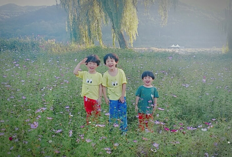  아이와가볼만한곳. 공주 석장리박물관 : 가을의 꽃을 만나고오다. [공주여행]