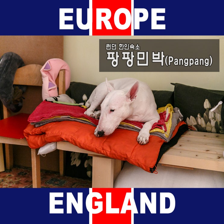  [런던/영국] 한인숙소 팡팡민박 사진많은 솔직후기!