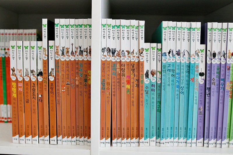 7세 자연관찰책 아람 자연이랑 꾸준히 읽고 배워요