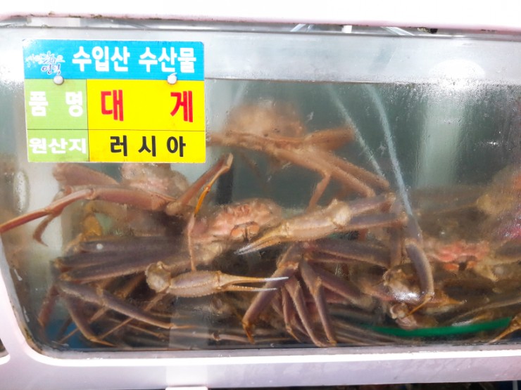  추석 나들이 | 성류굴 | 망양정 | 후포항 | 영덕 대게