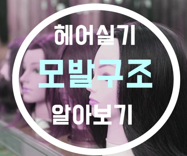  모발구조 에 대해 알아보자!!