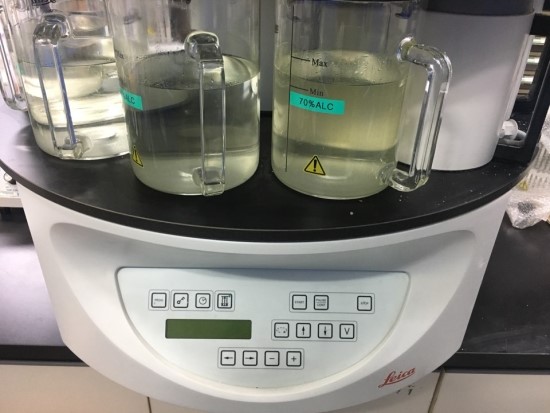  파라핀블록 제작