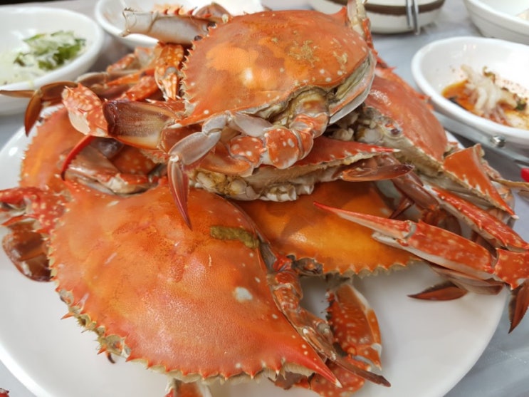  삽교천 나들이) 서민갑부  대명수산직접 잡은 꽃게ㆍ대하 제철 대박
