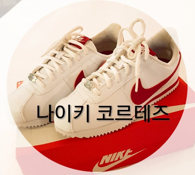  나이키 코르테즈 흰빨