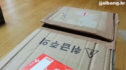  돈 먹는 고냥이 ㅋㅋㅋ