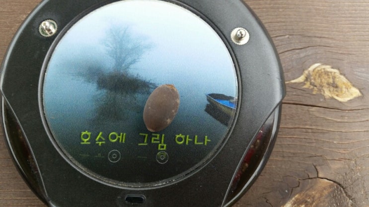  주남저수지
