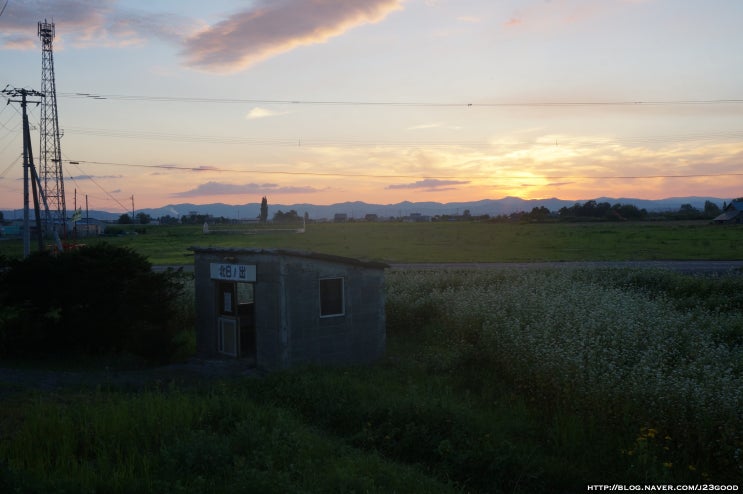  [북해도(홋카이도, 北海道) 여행] 아사히카와(旭川), 아사히카와 동물원 (旭川動物園) - <2017. 08. 19.>