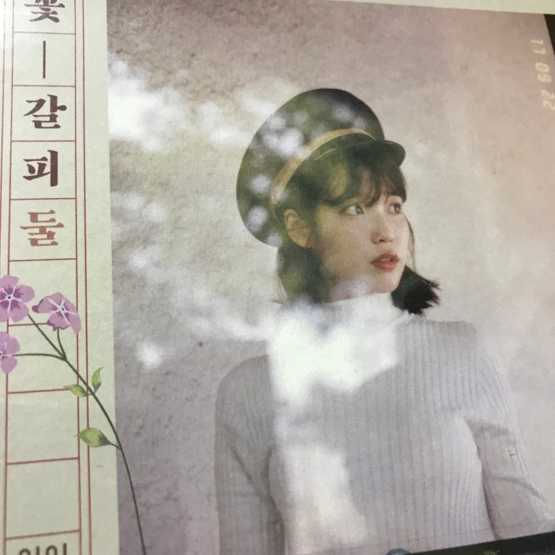 아이유 꽃갈피 둘 앨범 프리뷰 : 네이버 블로그