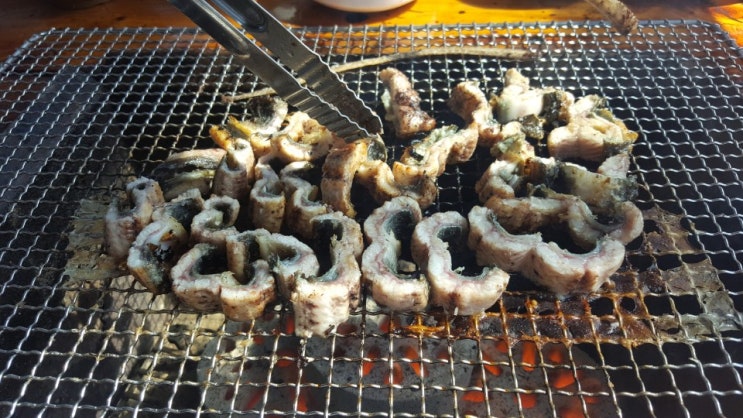  서민갑부 고창 장어 맛집 금단양만