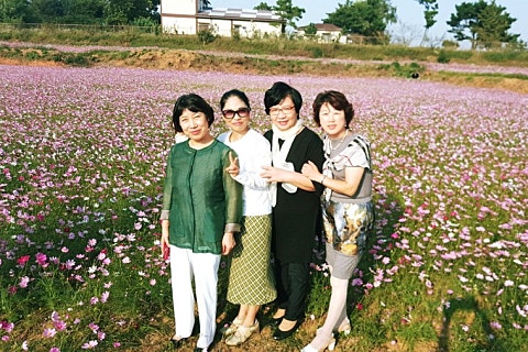 성도화원 이미지