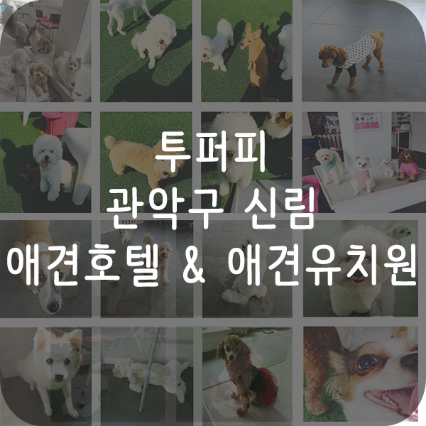 사진 3