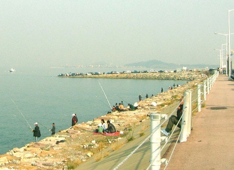 꽃게와 돌게(박하지) 차이점 알아보기 : 네이버 블로그