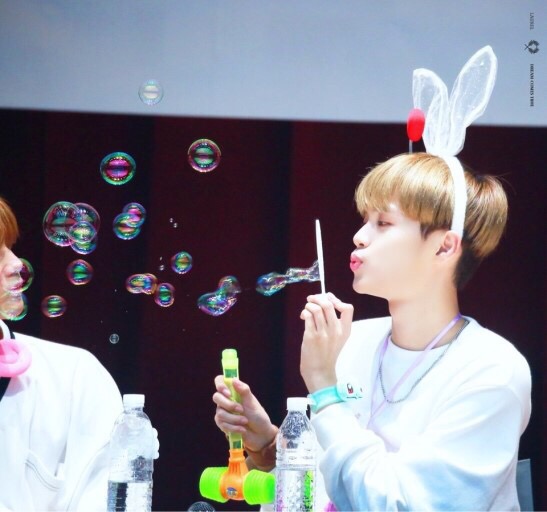  요즘 워너원이..