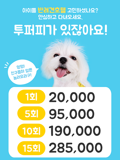 사진 4