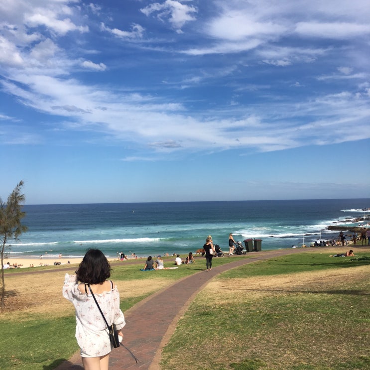  + 시드니 여행 < Bondi 본다이 비치, 아이스버그 >