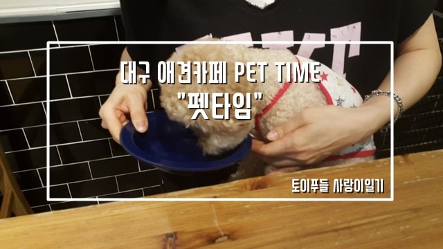펫타임