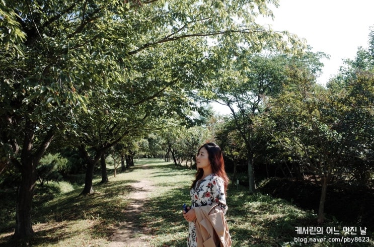 경주여행① 경주 경상북도 산림환경연구원