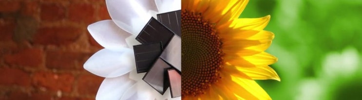 Solar Flower : The LED table light powered by the sun