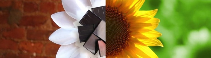  Solar Flower : The LED table light powered by the sun