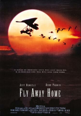  아름다운 비행 ( FLY AWAY HOME, 1996) 명대사 명장면