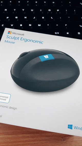Microsoft Sculpt Ergonomic 마우스 구입!! Microsoft Sculpt Ergonomic 마우스 구입!!
