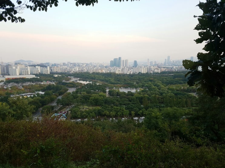  가을철 방문하기 좋은 상암동 하늘공원