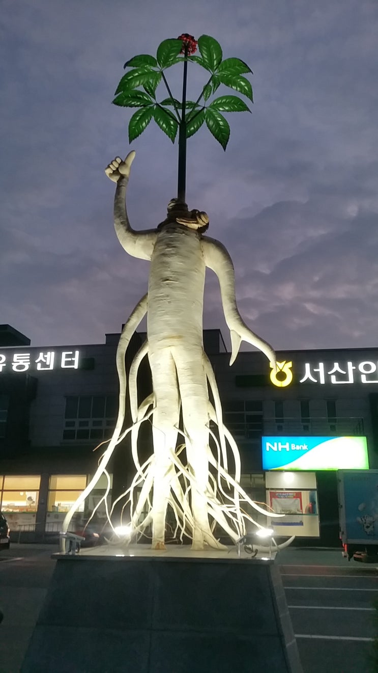  서산여행 서산 인삼 6년근 인삼 및 농특산물 직거래 장터 실시