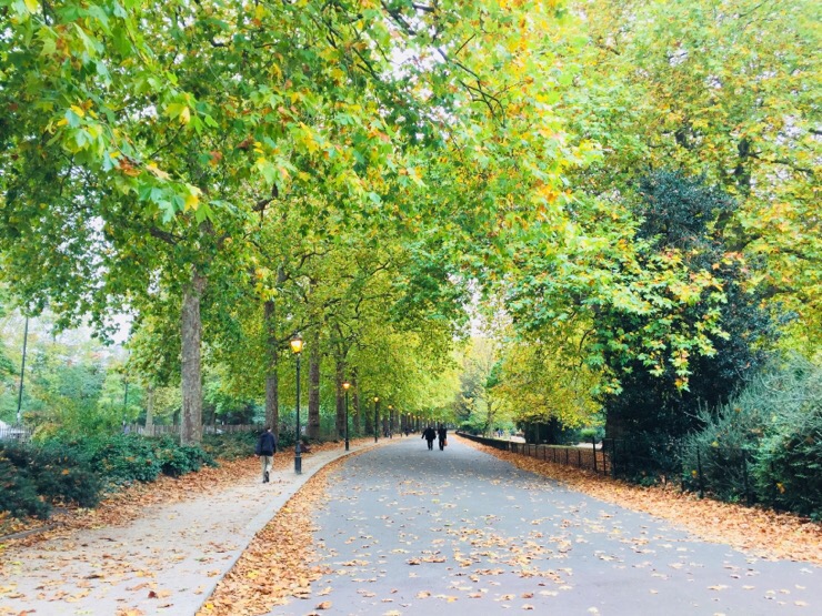  영국 워홀 614. 조용한 배터시 파크(Battersea park)