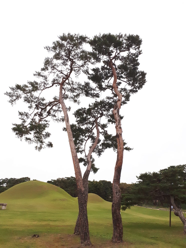  삶의 여유를 찾아서