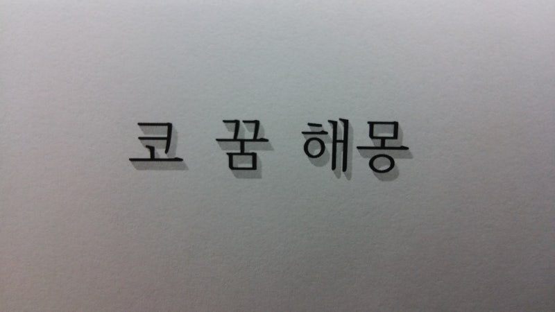 ■ 코 꿈해몽 코피나는꿈 코피터지는꿈 코피흘리는꿈 코뼈부러지는꿈 코막히는 꿈 해몽