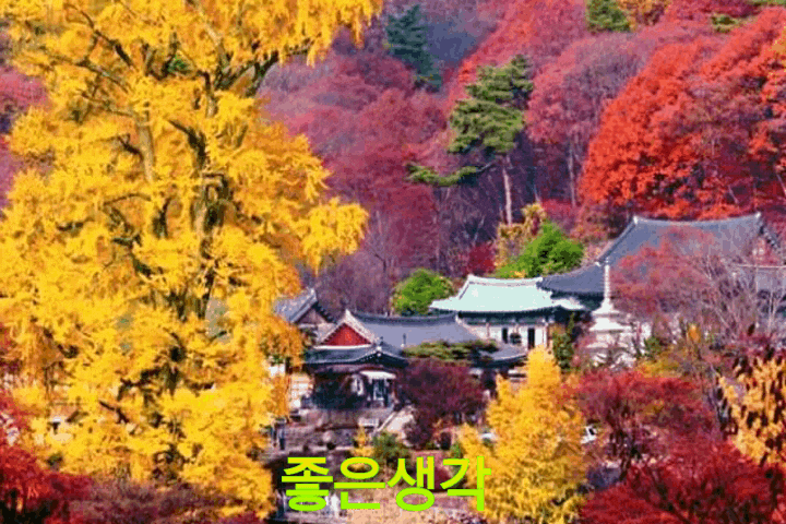  가을엔 사랑과 동행을 하자