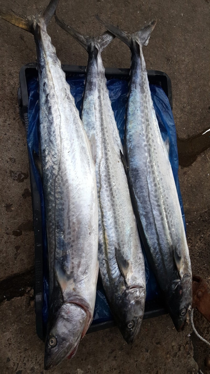 songcook) • Instagram photos and videos, image size:800x1422