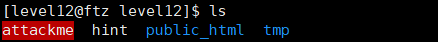  ftz.hackerschool.org level12 (bof)
