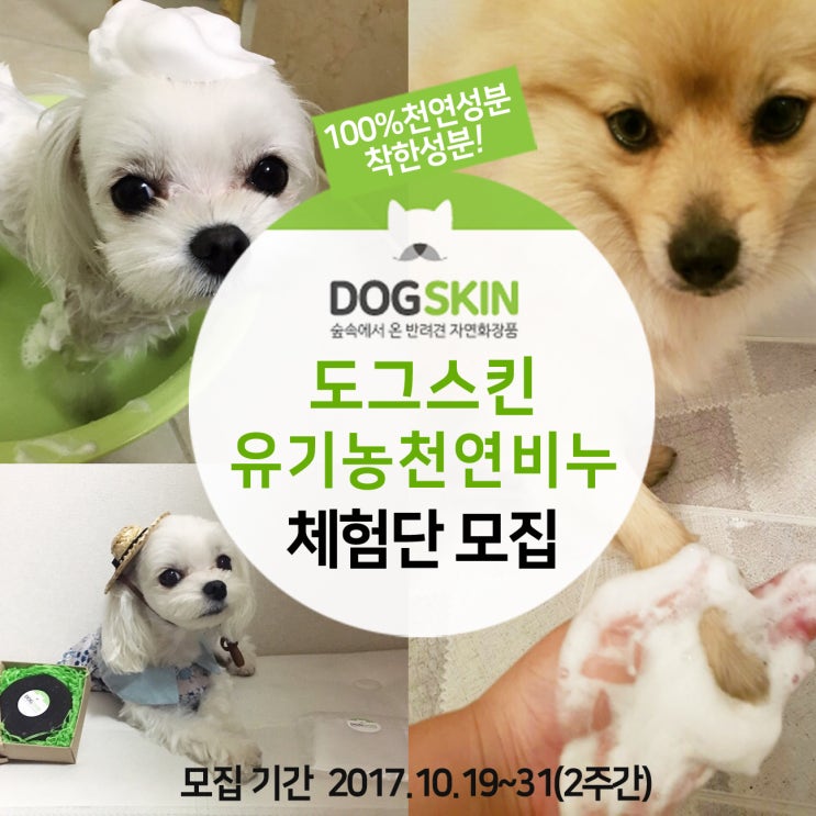  도그스킨 목욕비누 체험단 모집! 어서 신청하세요