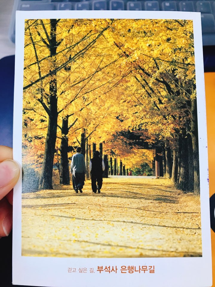 느리지만은 않던 느린 엽서 느리지만은 않던 느린 엽서