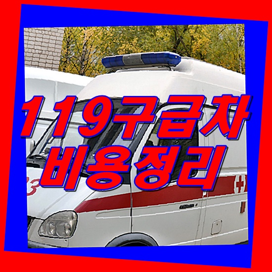  119구급차 비용 얼마나 필요한가?