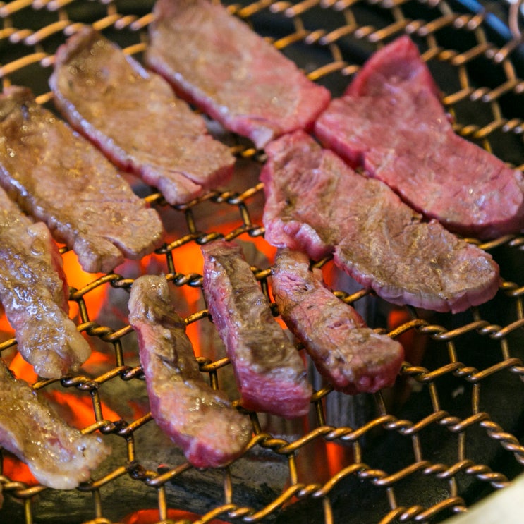 세종시 회식 맛있게먹고옴 세종시 회식 맛있게먹고옴