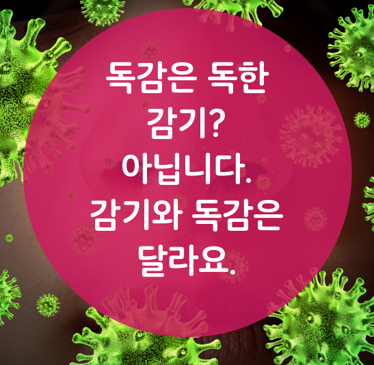  독감 예방접종을 시작합니다
