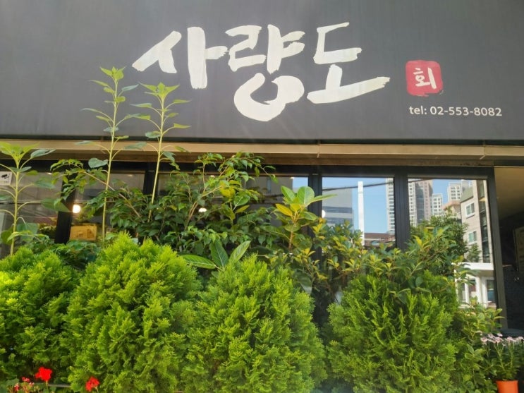  역삼역 점심 강력추천 사량도 횟집