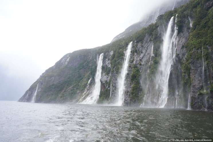  [오세아니아 여행] 퀸스타운(Queenstown), 바다와 폭포가 만나는 밀포드 사운드(Milford Sound)에 다녀오다 - <2017. 01. 27.>