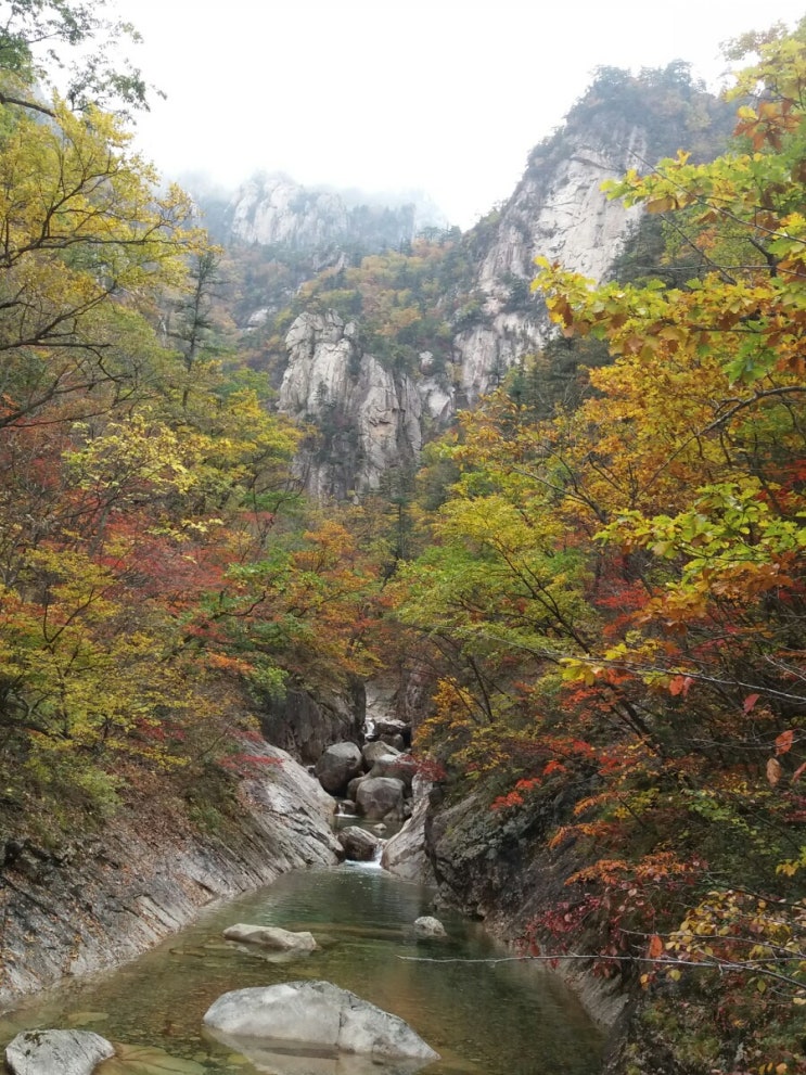  10월 21일 토요일