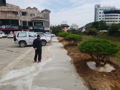  ｀구미 남통동 식당 주차장, 벌목 및 식재작업。보림조경